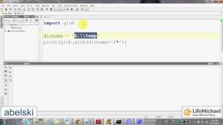 The glob.glob Function in Python