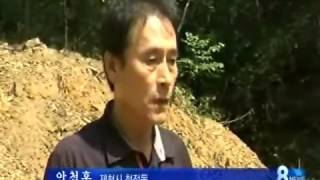 [청주MBC뉴스]사라진 조상 묘