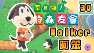 動物圖鑑#30 阿笨 ベン Walker的特色屋外觀和內部擺設介紹!【集合啦！動物森友會】「Nintendo Switch」 (Animal Crossing)