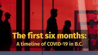 Looking back: Six months of COVID-19 in B.C.