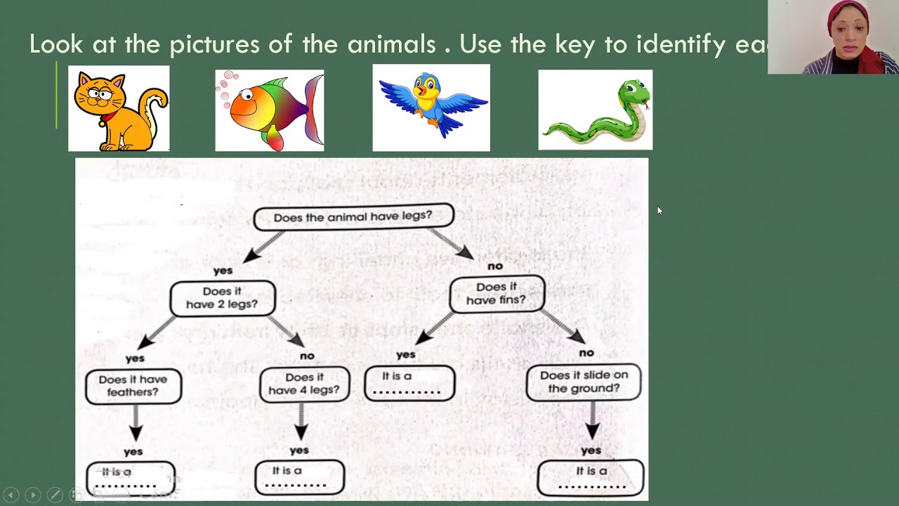 Identification Keys - Video 2 - YouTube