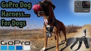 GoPro Dog Harness \