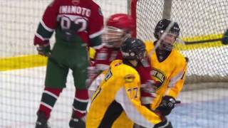 GTHL Hockey Highlights - West Hill Golden Hawks vs North Toronto