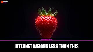 The Internet Weighs Less Than a Strawberry & Here's Why ๐