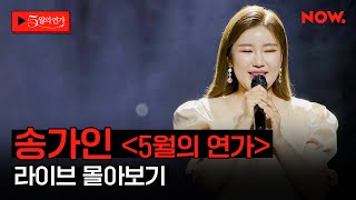 트로트 레전트 송가인의 어버이날 선물, 12곡 라이브 모아 듣기 🎧 [5월의 연가]ㅣ네이버 NOW.