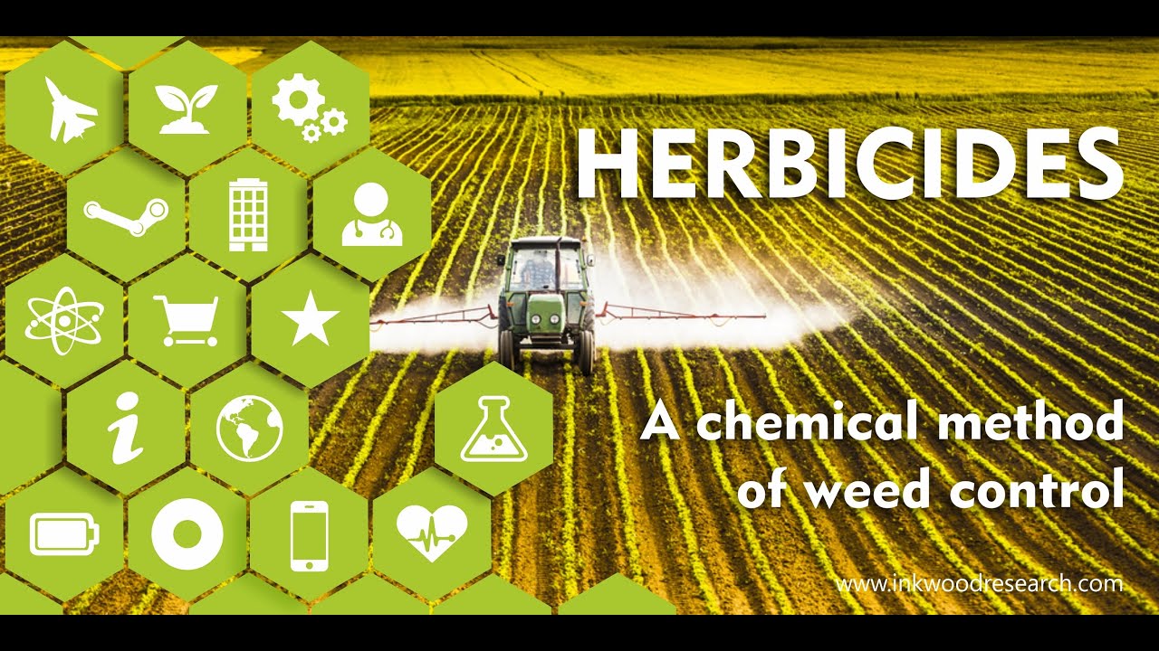 LECTURE 6 :- HERBICIDE, ITS USES ,CLASSIFICATION OF HERBICIDE (AGRONOMY ...