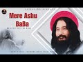 Mere Ashu BaBa | Guru Bhakti song | kalyaniAb | #djjs #shriashutoshmaharajji