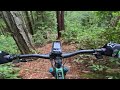 UCSC Vertiginous Trail MTB (aka King Kong 🦍) - steep and fun!