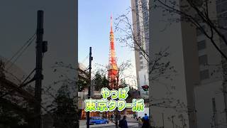 やっぱり子供の頃から港区女子な私は東京タワー派だなぁ Tokyo tower in Tokyo Japan 【都会】 #tokyo #tokyotower #japan #ショート #shorts