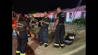 Phoenix firefighters rescue dog from house fire