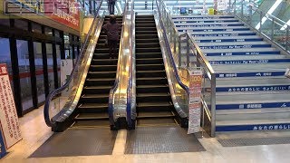 ヤマダ電機テックランド豊川店 エスカレーター 日立製 Hitachi Escalator YAMADA toyokawa