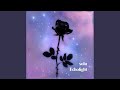 Echolight