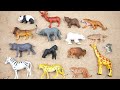 Lion, Elephant, Cheetah, Giraffe, Bear, Tiger, Zebra,  Wolf, Zoo Animals, Toy Wild Animals for Kids