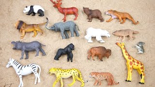 Lion, Elephant, Cheetah, Giraffe, Bear, Tiger, Zebra,  Wolf, Zoo Animals, Toy Wild Animals for Kids