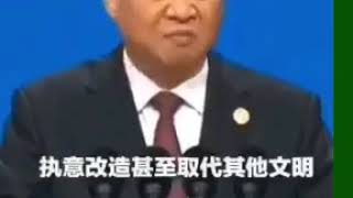 习近平:在认知上是愚蠢的！