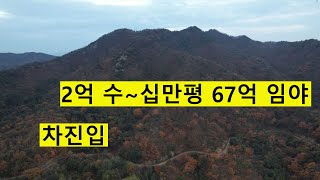 충남임야 2억 공시가1/10싼임야 수~십만평 차진입 수목장나무분양+기념목나무분양 산림경영 숲가치3조 시세67~367억 탄소권1.2억 땅과함께(새희망을)경매임야 공매임야 나도땅주인