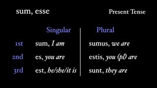 Irregular Verbs: sum, esse