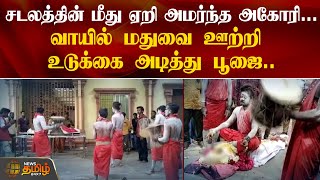 சடலத்தின் மீது ஏறி அமர்ந்து பூஜை செய்த அகோரி | Kovai | Agori | NewsTamil24X7 | Aghori Siva Pooja