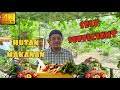 ✅ EP1 || PERMACULTURE || KONSEP MENTERNAK DAN BERKEBUN SELARI DENGAN EKOSISTEM