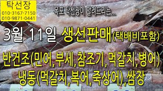 3월 11일(판매 생선), 반건조 민어, 반건조 참조기, 반건조 병어, 반건조 먹갈치, 냉동생선, (탁선장 목포 남도농수산 010 3167 7150. 010 9871 0441)