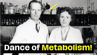 Gerty Cori! Deciphering the Dance of Metabolism