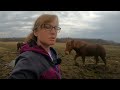 what to do on this muddy day fixing up our horse drawn scoot