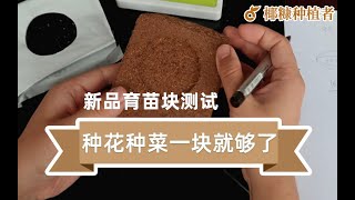 教你测椰糠EC值 第二代椰糠育苗块 种花种菜种水果就用它 一小块就够了