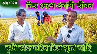 কিছু দিনের জন্য প্রবাসী জীবন মনে হলেও সুখে আছি কৃষি শ্রমিকদের|কৃষি শ্রমিকদের গল্প