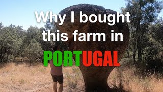 Journey to buying a FARM in Portugal: Part 20 (Why this particular farm?)