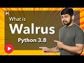 What is walrus operator in python 3.8