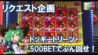 【メダルゲーム】リクエスト企画！500BETでドッギートリーツ！【BAYON公式】