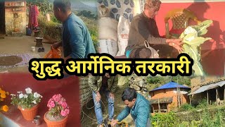 हाम्रो गाउँमा उत्पादन गरीएको आर्गेनिक तरकारी खेती | Nepali Village Lifestyles | Panchase Darpan