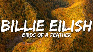 Billie Eilish - BIRDS OF A FEATHER (Lyrics)