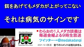 病気のサイン！餌をあげてもメダカが上がってこない時 滋賀県のメダカ販売店 めだか藁屋 高木正臣