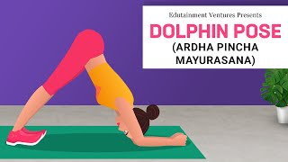 Dolphin Pose | Ardha Pincha Mayurasana