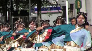 横浜よさこい2022　実践女子大学YOSAKOIソーラン部WING（馬車道パレード①）