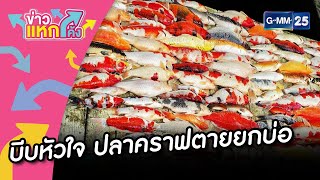 บีบหัวใจ ปลาคราฟตายยกบ่อ |ข่าวแหกโค้ง |GMM25