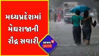 MP News : મધ્યપ્રદેશમાં મેઘરાજાની રૌદ્ર સવારી | Gujarati News | News18 Gujarati