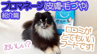 被毛に良く効くプロマネージを購入してみたポメラニアン犬（紹介篇）≪#715≫