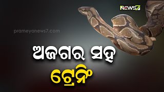 ସାପ ସହ ଟ୍ରେନିଂ ନେଲେ ଏନ୍‌ସିସି ଛାତ୍ରଛାତ୍ରୀ