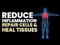 Instant Body Pain Relief Meditation | Reduce Inflammation And Pain | Repair Cells & Heal Tissues