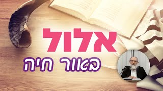 לבחור בדרך הישרה 👌 הרב גופין בשיעור לחודש אלול - ספר דרך חיים | שיעורי בוקר - ז' אלול פ\