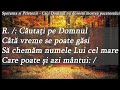 speranta si prietenii cautati pe domnul cata vreme se poate gasi