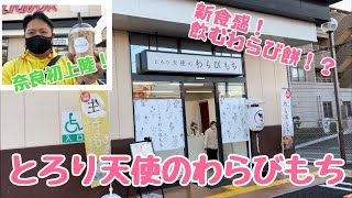 【奈良初上陸】飲むわらび餅！？ニューオープンの「とろり天使のわらびもち」が凄かった！