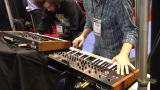 Nova Musik - Dave Smith Instruments Prophet 12 Tempest Mopho x4 at NAMM 2013