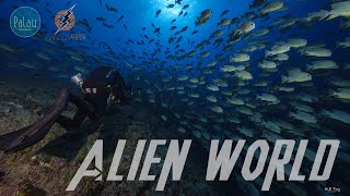 The Most hard diving site in Palau｜帛琉最難潛點｜Cinematic Diving Video