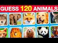 Guess 120 Animals in 3 Seconds | Easy, Medium, Hard, Impossible