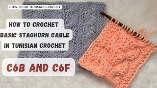 How to crochet basic staghorn cable in Tunisian crochet [C6B and C6F]