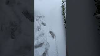 Snow is for the first time in eight￼#viralvideo #fyp #shortvideo #snowfall ￼