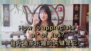 【TAISHAN TEA CLUB泰山茶道】Appreciate a cup of tea with... 提升喝茶乐趣的关键是竟然是它！#Chinese tea #Decoration